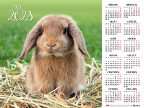 Календарь настенный листовой  А2 2023г Кл2_27160 -Год кролика-