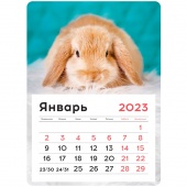 Календарь отрывной на магните 2023г 130*180мм Mono - Милый кролик OfficeSpace 341318/200/Россия