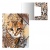 Папка A4 на резинках пластик ErichKrause® Wild Cat 48719/4/Россия