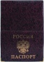 Обложка для паспорта глянцевая ОД6-02/50/Россия